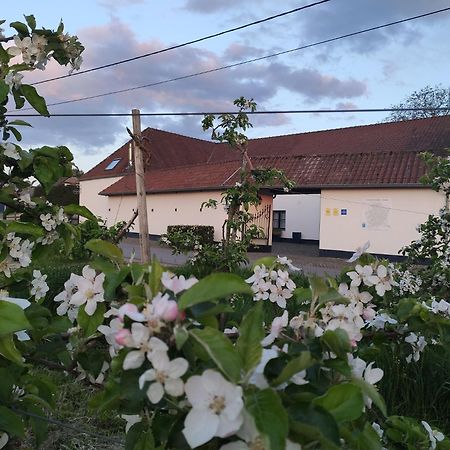 Het Hemelsveld Bed & Breakfast Hasselt Eksteriør bilde