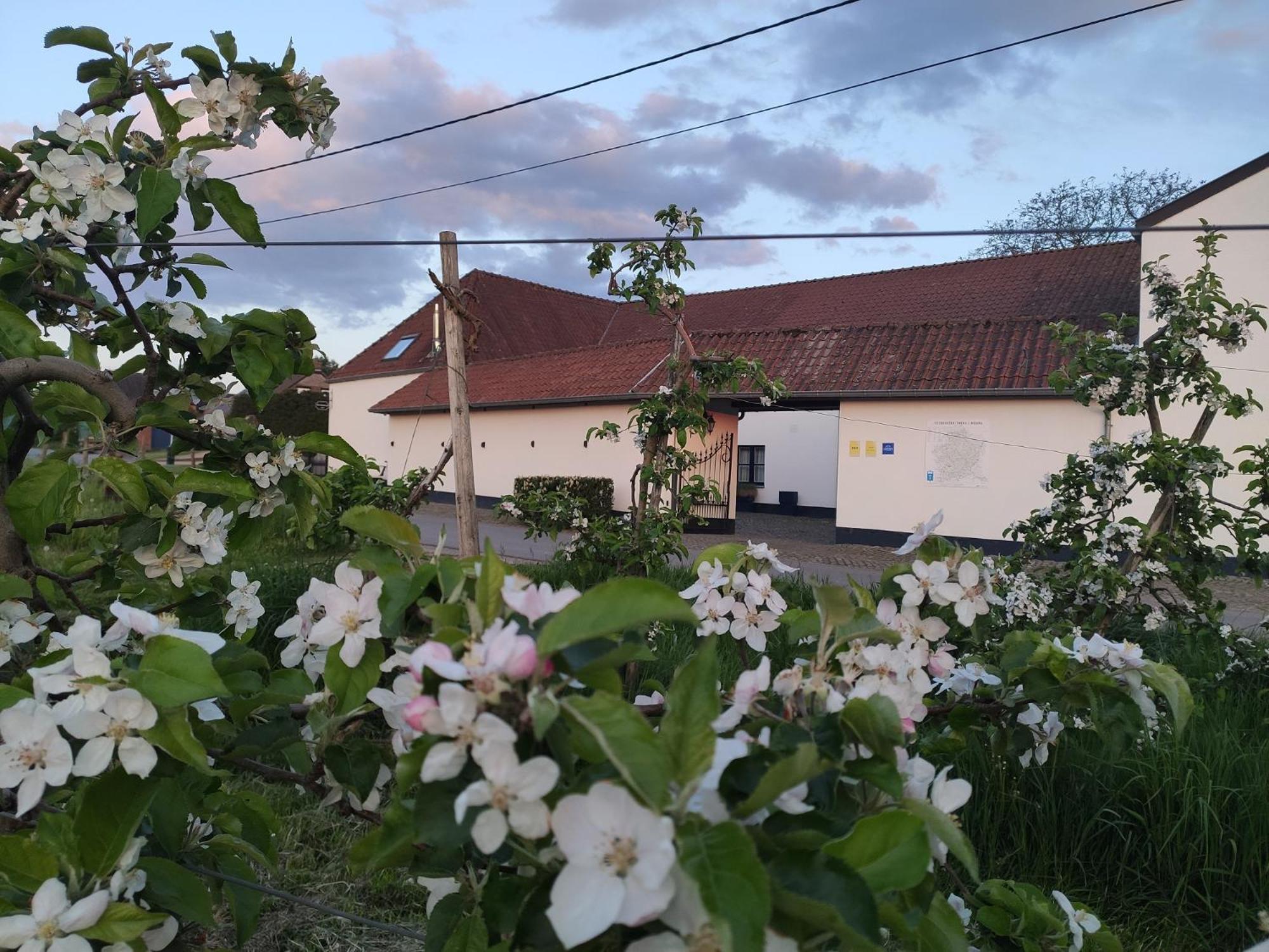 Het Hemelsveld Bed & Breakfast Hasselt Eksteriør bilde